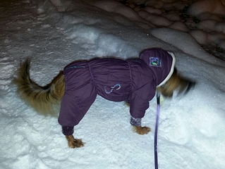 1920 X 1441 159.3 Kb   