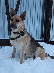 598 X 807  70.8 Kb 498 X 807  57.2 Kb 807 X 584  52.8 Kb   , 