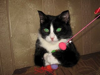 604 X 453 57.0 Kb       ,       