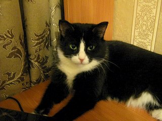 604 X 453 54.0 Kb       ,       