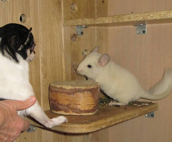 1920 X 1591 300.1 Kb 1920 X 2560 339.9 Kb  !  )