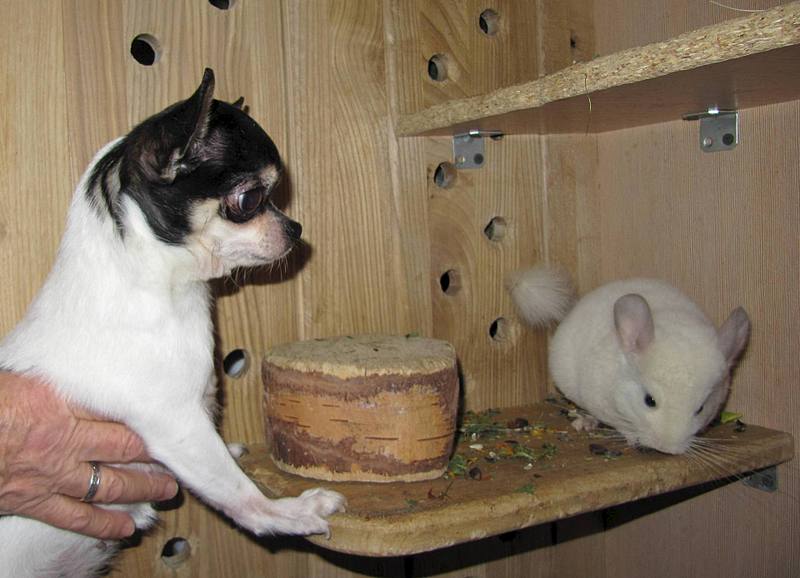 1920 X 1388 199.8 Kb 1920 X 1591 300.1 Kb 1920 X 2560 339.9 Kb  !  )