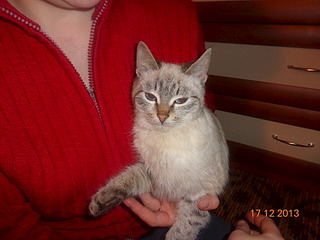 1920 X 1440 595.0 Kb     