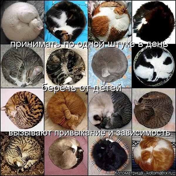 604 X 604 90.1 Kb Улыбнемся?