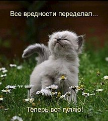 500 X 557 57.7 Kb Новинки . Все в сад!:) ВиККи НиККи Супер пупер!,
