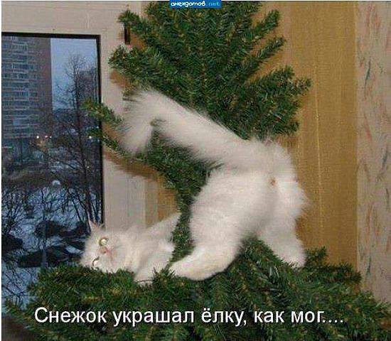 550 x 480 Улыбнемся?