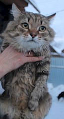 325 X 604  30.8 Kb         !