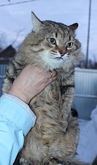 358 X 604  40.3 Kb         !