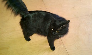 1920 X 1148 434.0 Kb     