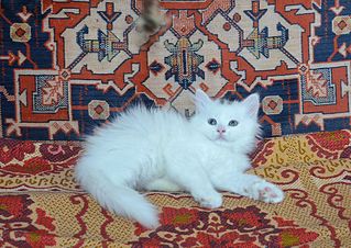 1920 X 1357 486.5 Kb 1920 X 1357 374.7 Kb     !