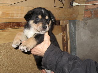 1920 X 1440 676.6 Kb      