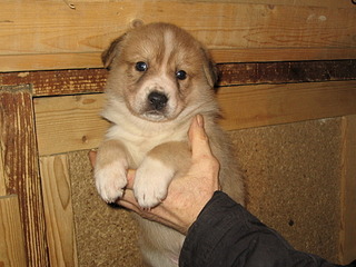 1920 X 1440 688.5 Kb 1920 X 1440 676.6 Kb      