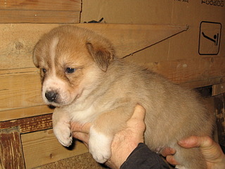 1920 X 1440 679.9 Kb 1920 X 1440 688.5 Kb 1920 X 1440 676.6 Kb      