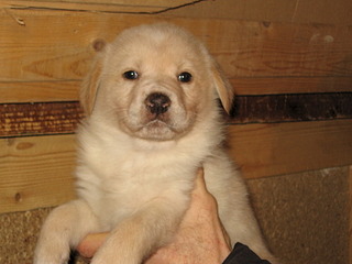 1920 X 1440 526.1 Kb 1920 X 1440 679.9 Kb 1920 X 1440 688.5 Kb 1920 X 1440 676.6 Kb      