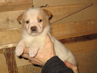 1920 X 1440 581.6 Kb      