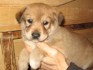 1920 X 1440 602.6 Kb 1920 X 1440 588.5 Kb 1920 X 1440 605.1 Kb 1920 X 1440 581.6 Kb      