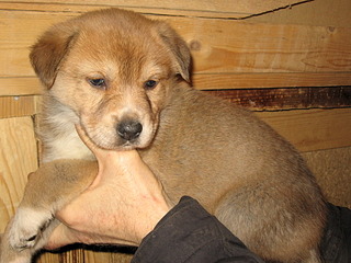 1920 X 1440 736.1 Kb 1920 X 1440 602.6 Kb 1920 X 1440 588.5 Kb 1920 X 1440 605.1 Kb 1920 X 1440 581.6 Kb      