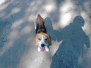 800 X 600 124.1 Kb 800 X 600 190.4 Kb 854 X 640 196.4 Kb  