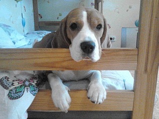 854 X 640 133.9 Kb 800 X 600 124.1 Kb 800 X 600 190.4 Kb 854 X 640 196.4 Kb  