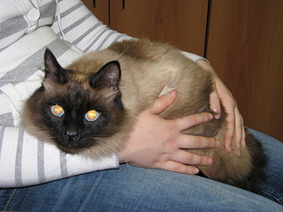 1920 X 1440 666.7 Kb 1920 X 1440 726.3 Kb   - .  !