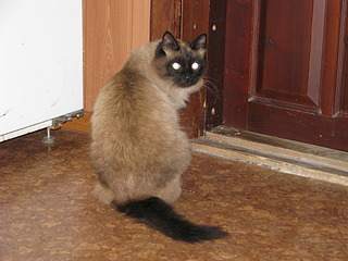 1920 X 1440 641.1 Kb 1920 X 1440 666.7 Kb 1920 X 1440 726.3 Kb   - .  !