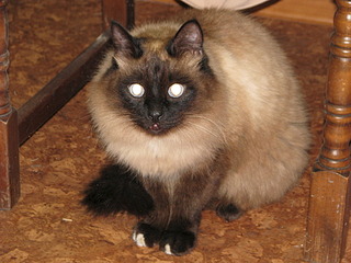 1920 X 1440 655.4 Kb 1920 X 1440 641.1 Kb 1920 X 1440 666.7 Kb 1920 X 1440 726.3 Kb   - .  !