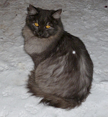 1920 X 2084 218.7 Kb 1920 X 1559 132.8 Kb          