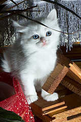 800 X 1200 306.1 Kb 800 X 1200 193.2 Kb     . 