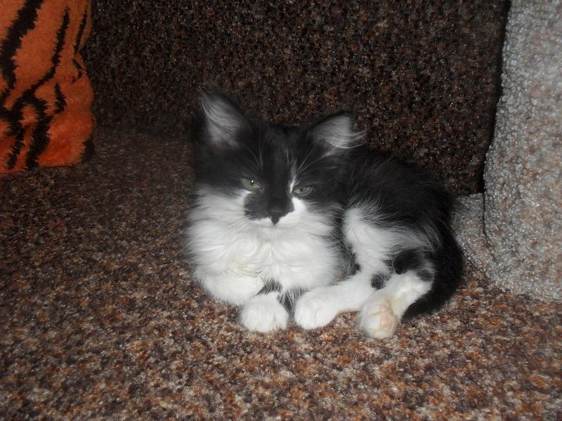 1280 X 960 275.5 Kb 1280 X 960 194.7 Kb    