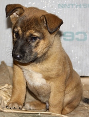 1920 X 2517 302.0 Kb  :   