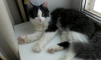 1920 X 1148 293.5 Kb     