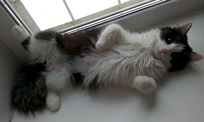 1920 X 1148 331.4 Kb 1920 X 1148 293.5 Kb     