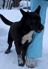 1920 X 2792 580.4 Kb   (6-7 .)       