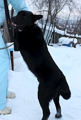 1920 X 2849 608.9 Kb 1920 X 2450 494.0 Kb 1920 X 2792 580.4 Kb   (6-7 .)       