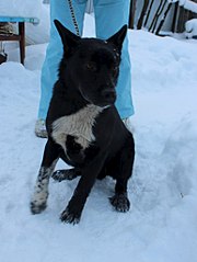 769 X 1024  80.0 Kb   (6-7 .)       