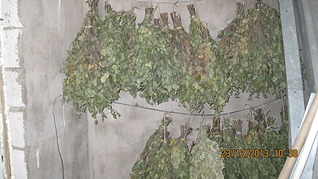 1920 X 1079 671.1 Kb     .