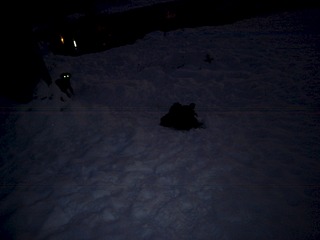 1920 X 1440 220.0 Kb      