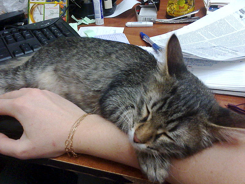 1600 X 1200 333.2 Kb -  