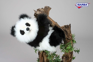 1000 X 666 326.0 Kb 471 X 515 92.6 Kb 1000 X 666 311.7 Kb 1000 X 666 32.7 Kb 1000 X 666 287.9 Kb Bambini doni /     