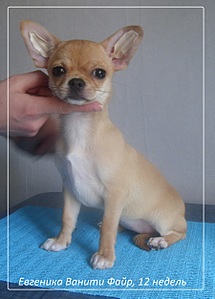 1793 X 2497 956.3 Kb 1489 X 2361 645.0 Kb  . !