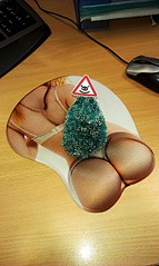 1552 X 2592 549.0 Kb 