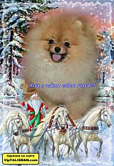 664 X 960 111.1 Kb    !