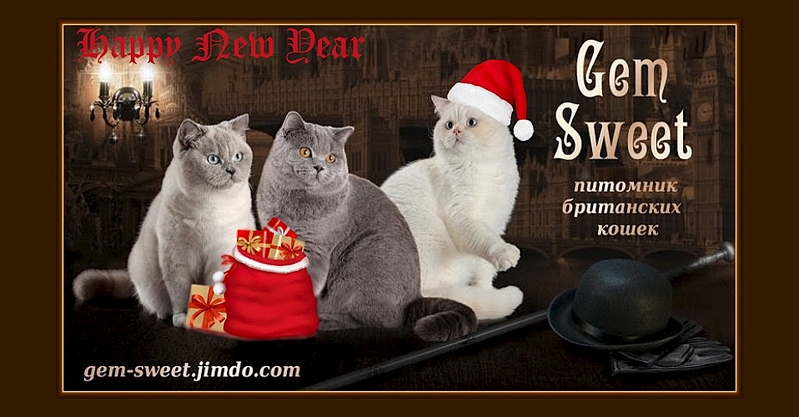 958 X 500 222.1 Kb    !