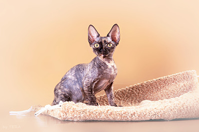 1920 X 1280 422.9 Kb   -    !