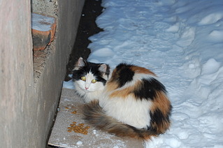 1920 X 1276 459.4 Kb -   