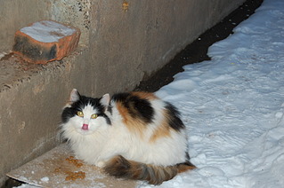 1920 X 1276 497.5 Kb -   