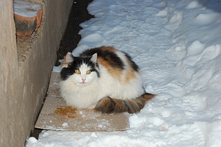 1920 X 1276 458.9 Kb -   