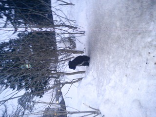 1920 X 1440 653.7 Kb 1920 X 1440 393.3 Kb      