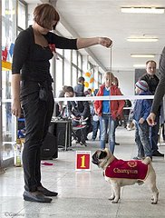 486 X 640 82.1 Kb 257 x 240 640 X 505 96.2 Kb ����� �����! �� ��������!