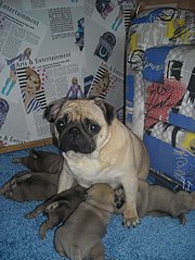 453 X 604 74.2 Kb ����� �����! �� ��������!